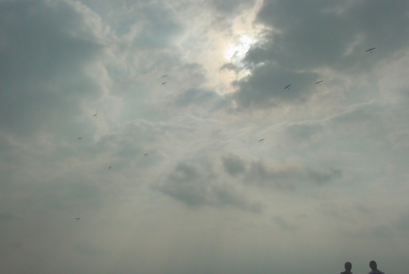 Holland Glide 2005 picture DSC04708